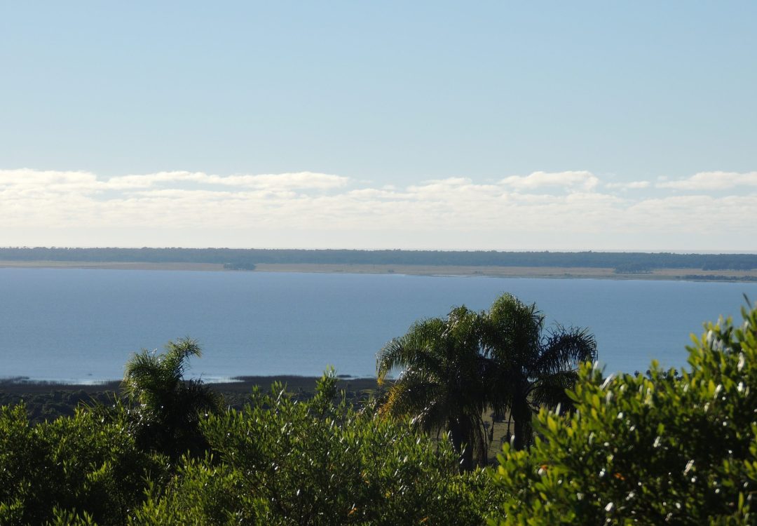 agua_1