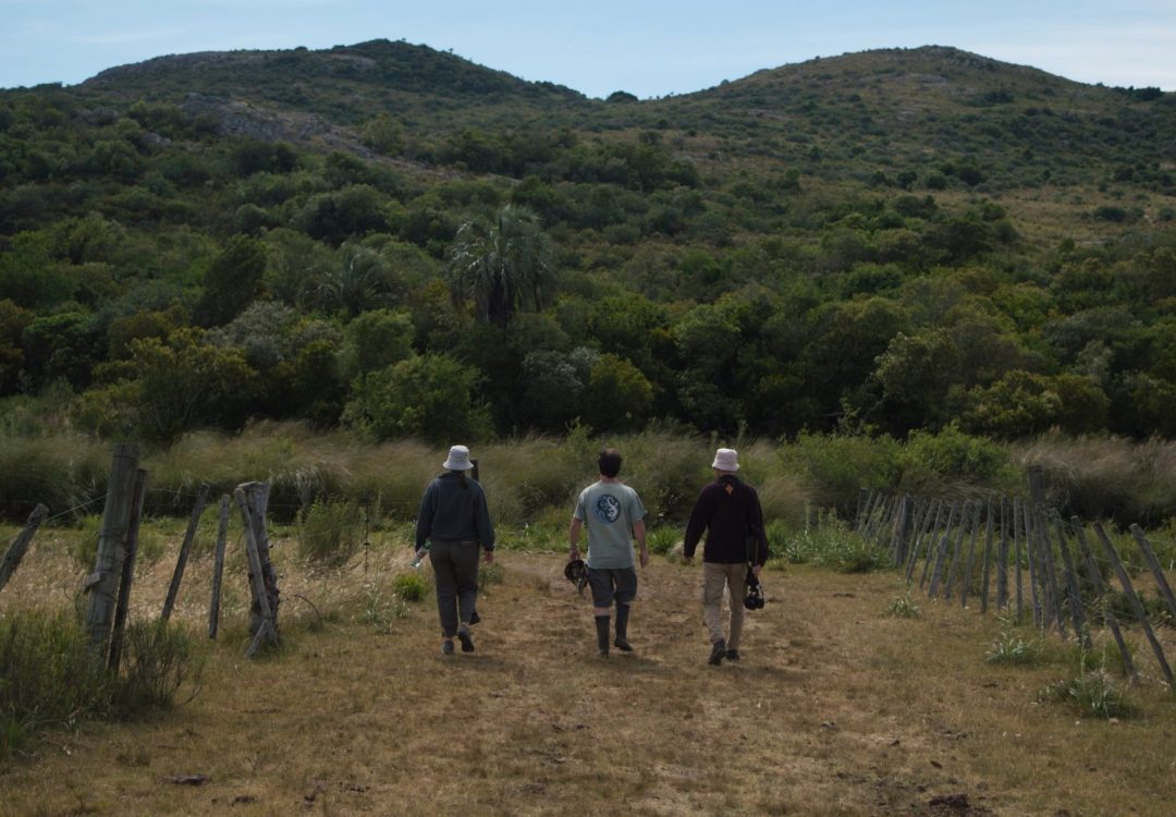 gestion_territorio_1 (1)